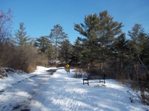 Snowy running trail