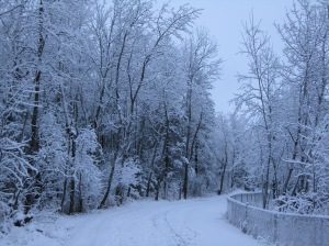 Snowy Lakewalk